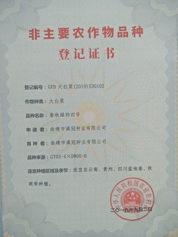 非主要農(nóng)作物品種登記證書-大白菜春秋綠帥四號(hào)